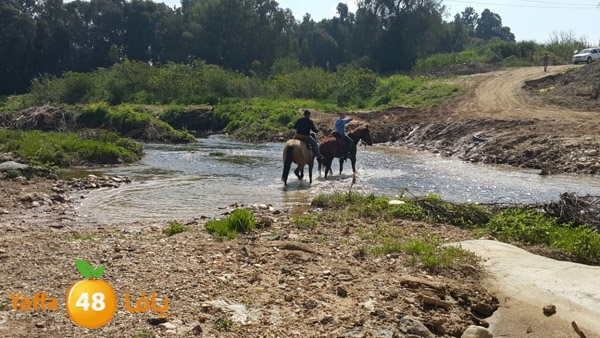 roben tabee3ar (7).JPG